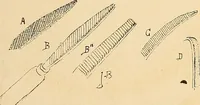 An illustration from Keramic studio (1899)