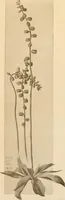 An illustration from Keramic studio (1899)