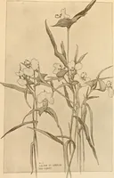 An illustration from Keramic studio (1899)