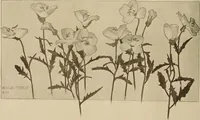 An illustration from Keramic studio (1899)