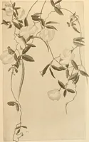 An illustration from Keramic studio (1899)
