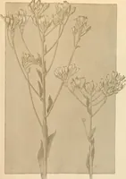 An illustration from Keramic studio (1899)