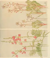 An illustration from Keramic studio (1899)