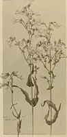 An illustration from Keramic studio (1899)