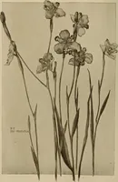 An illustration from Keramic studio (1899)