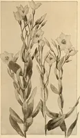 An illustration from Keramic studio (1899)