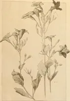 An illustration from Keramic studio (1899)