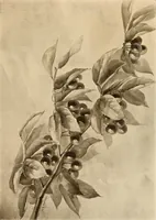 An illustration from Keramic studio (1899)