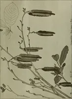 An illustration from Keramic studio (1899)