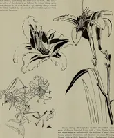 An illustration from Keramic studio (1899)