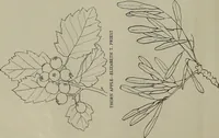 An illustration from Keramic studio (1899)