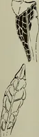 An illustration from Keramic studio (1899)