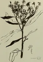 An illustration from Keramic studio (1899)