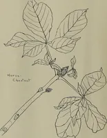 An illustration from Keramic studio (1899)