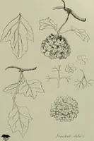 An illustration from Keramic studio (1899)