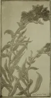 An illustration from Keramic studio (1899)