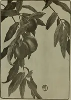 An illustration from Keramic studio (1899)