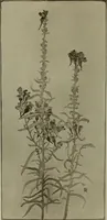 An illustration from Keramic studio (1899)