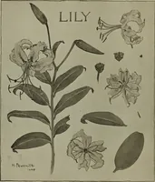 An illustration from Keramic studio (1899)