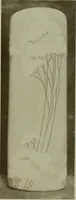 An illustration from Keramic studio (1899)