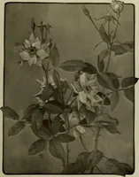 An illustration from Keramic studio (1899)