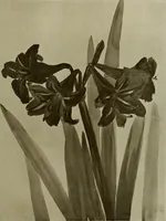 An illustration from Keramic studio (1899)