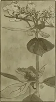 An illustration from Keramic studio (1899)