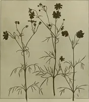 An illustration from Keramic studio (1899)