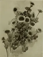 An illustration from Keramic studio (1899)