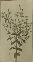 An illustration from Keramic studio (1899)