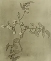 An illustration from Keramic studio (1899)