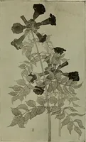 An illustration from Keramic studio (1899)
