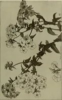 An illustration from Keramic studio (1899)
