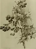 An illustration from Keramic studio (1899)