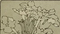 An illustration from Keramic studio (1899)