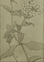 An illustration from Keramic studio (1899)