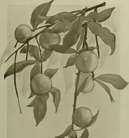 An illustration from Keramic studio (1899)