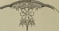 An illustration from Keramic studio (1899)