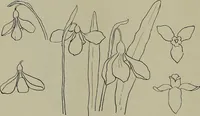 An illustration from Keramic studio (1899)