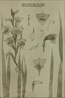 An illustration from Keramic studio (1899)