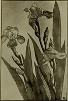 An illustration from Keramic studio (1899)