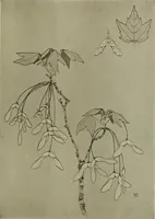 An illustration from Keramic studio (1899)