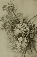 An illustration from Keramic studio (1899)