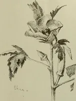An illustration from Keramic studio (1899)