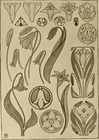 An illustration from Keramic studio (1899)