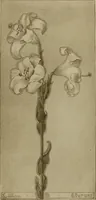 An illustration from Keramic studio (1899)