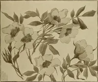 An illustration from Keramic studio (1899)