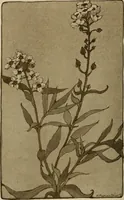 An illustration from Keramic studio (1899)