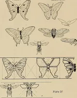 An illustration from Keramic studio (1899)