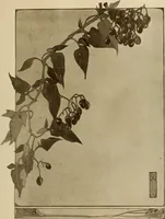 An illustration from Keramic studio (1899)